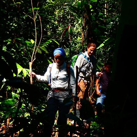 Amazon Acai Lodge Летисия Екстериор снимка