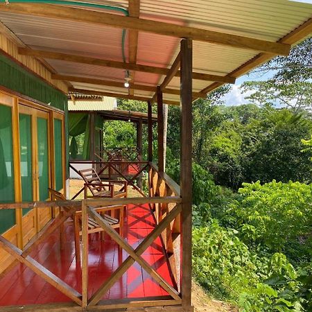 Amazon Acai Lodge Летисия Екстериор снимка