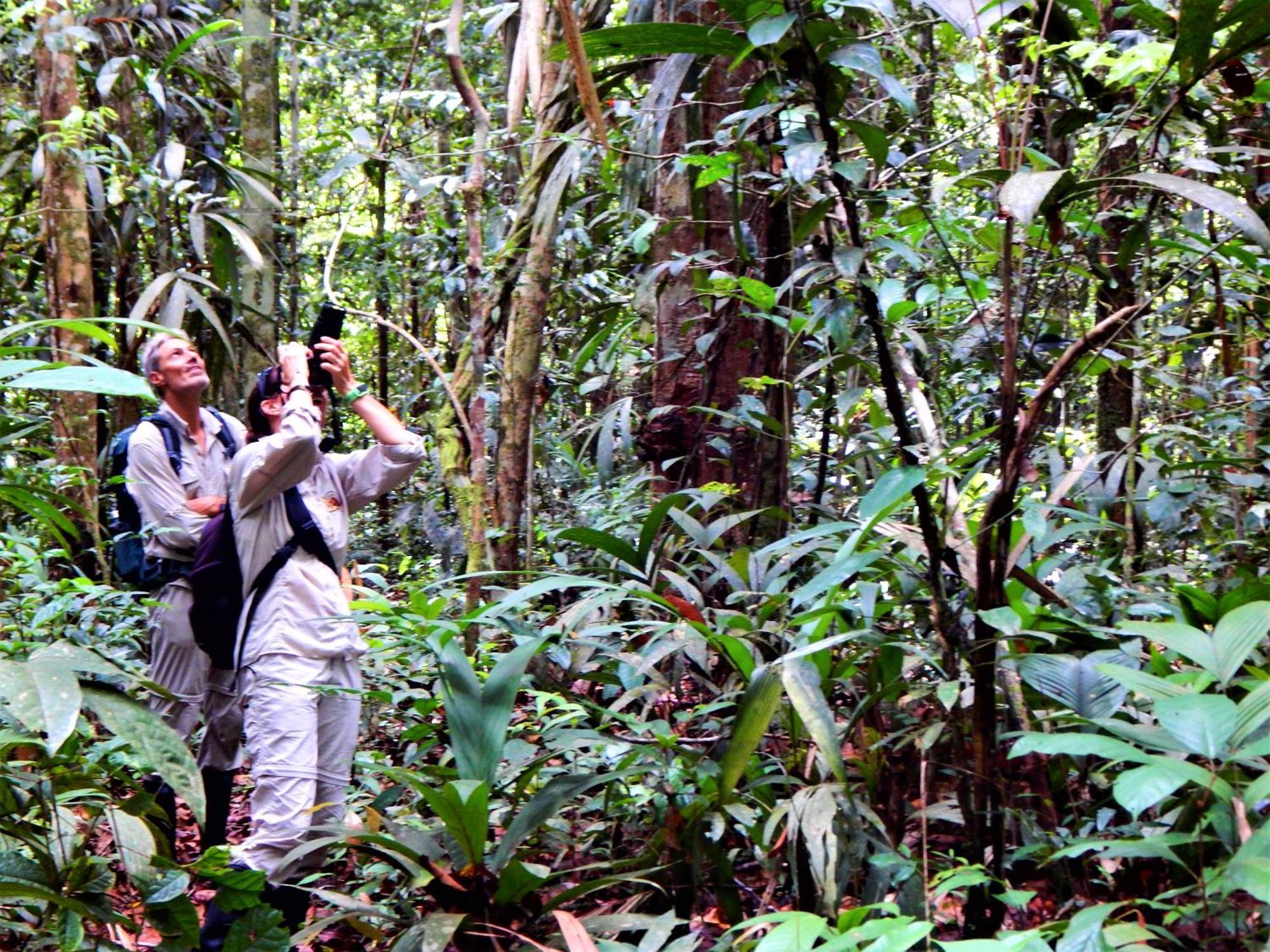 Amazon Acai Lodge Летисия Екстериор снимка