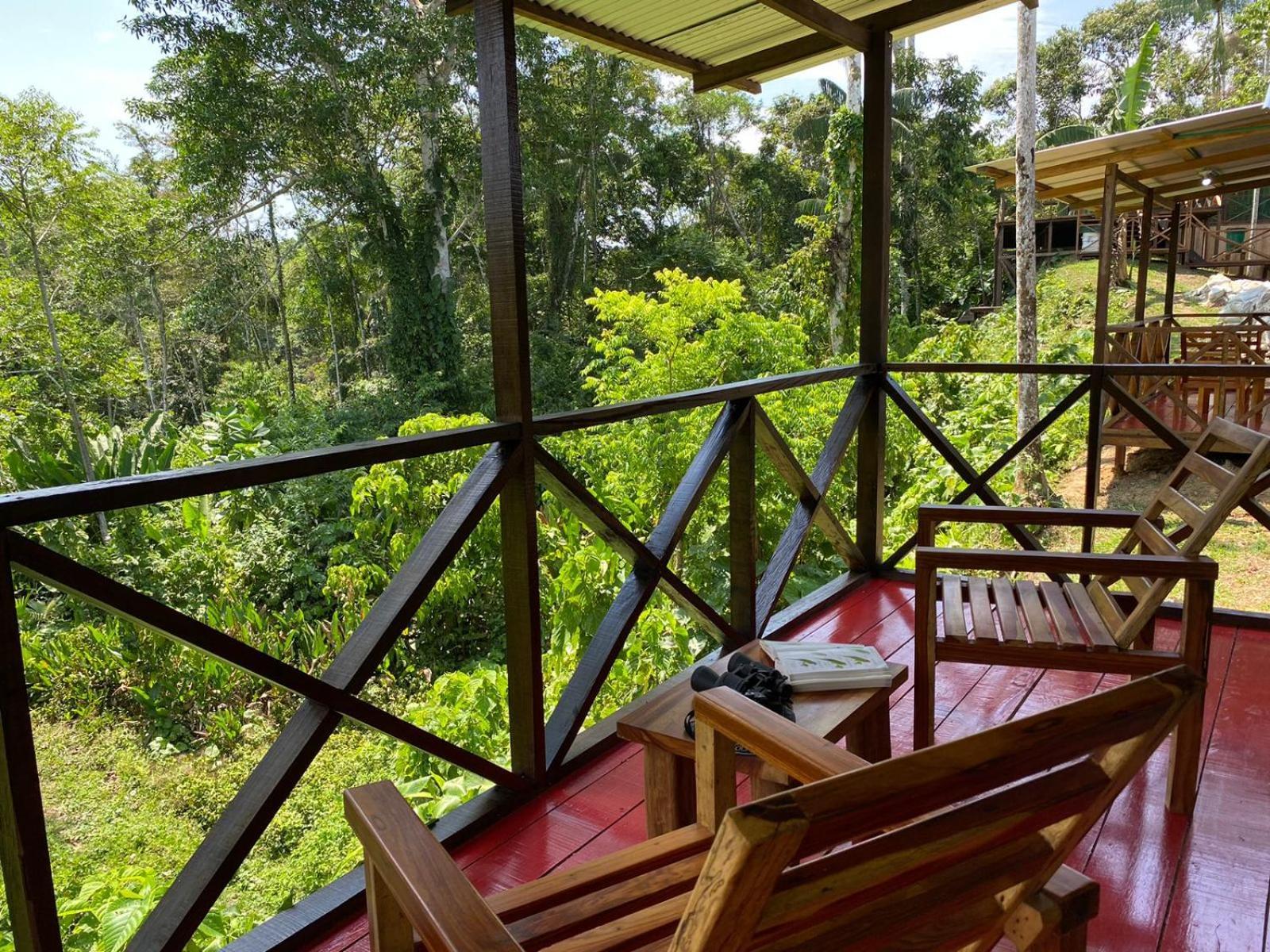 Amazon Acai Lodge Летисия Екстериор снимка