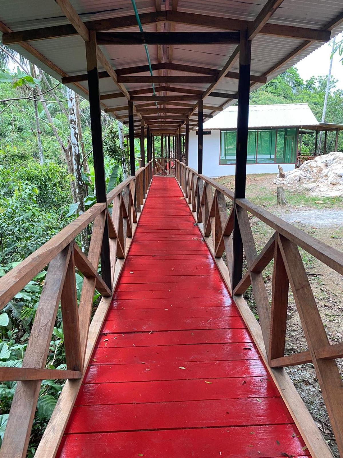 Amazon Acai Lodge Летисия Екстериор снимка
