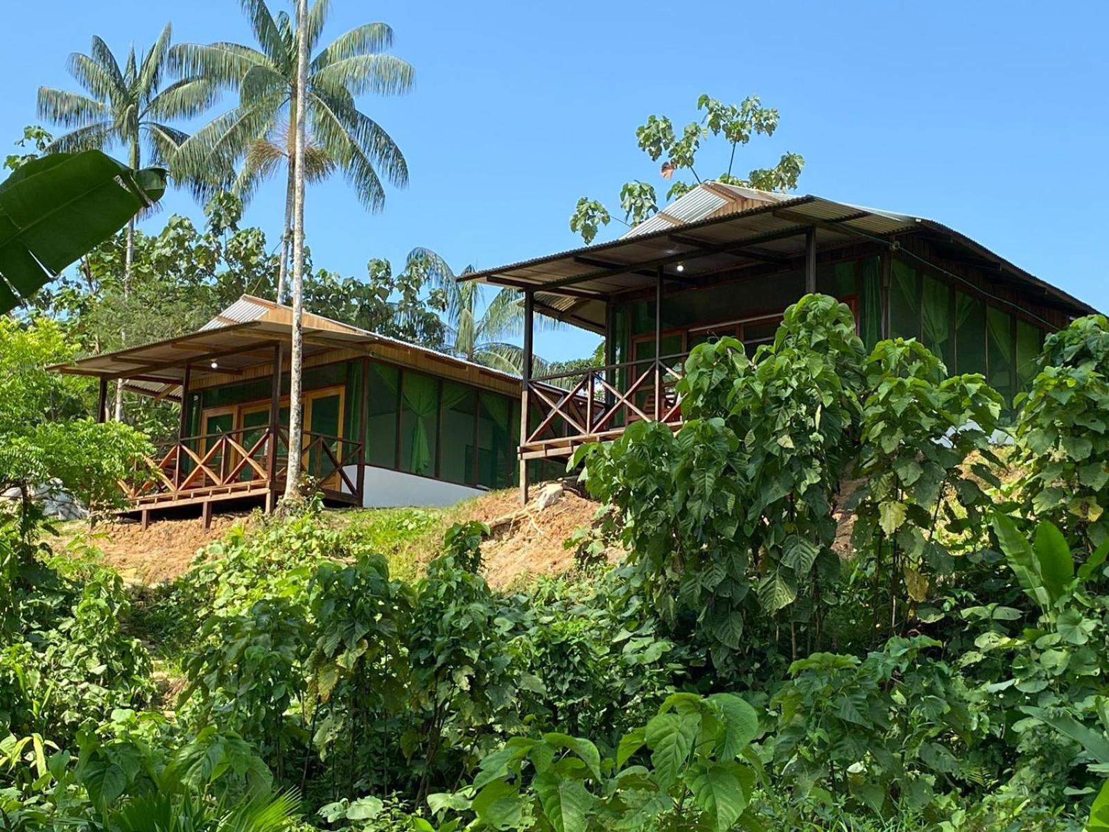 Amazon Acai Lodge Летисия Екстериор снимка
