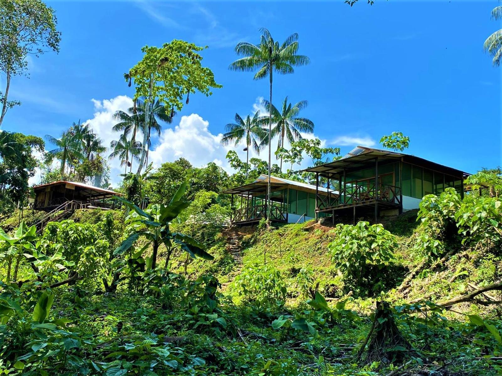 Amazon Acai Lodge Летисия Екстериор снимка